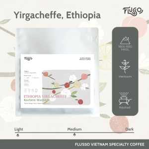 Cà phê Specialty Ethiopia Yirgacheffe Kochere G1 Washed